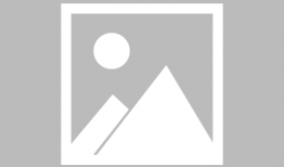 南阳三胶厂爆料案件最新,揭开企业内部腐败黑幕