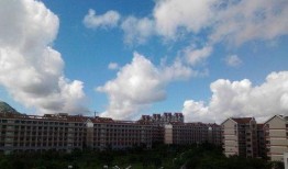 嘉庚新生爆料最新消息,最新动态揭秘，带你走进校园风云！”