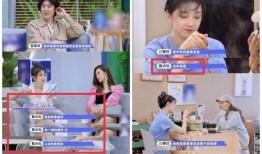 小菲最新爆料新闻报道,最新新闻报道揭秘